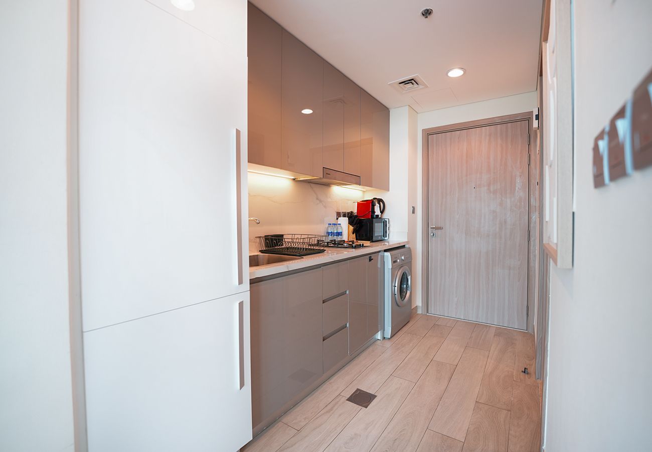 Studio in Dubai - City center/spacious/skyline view