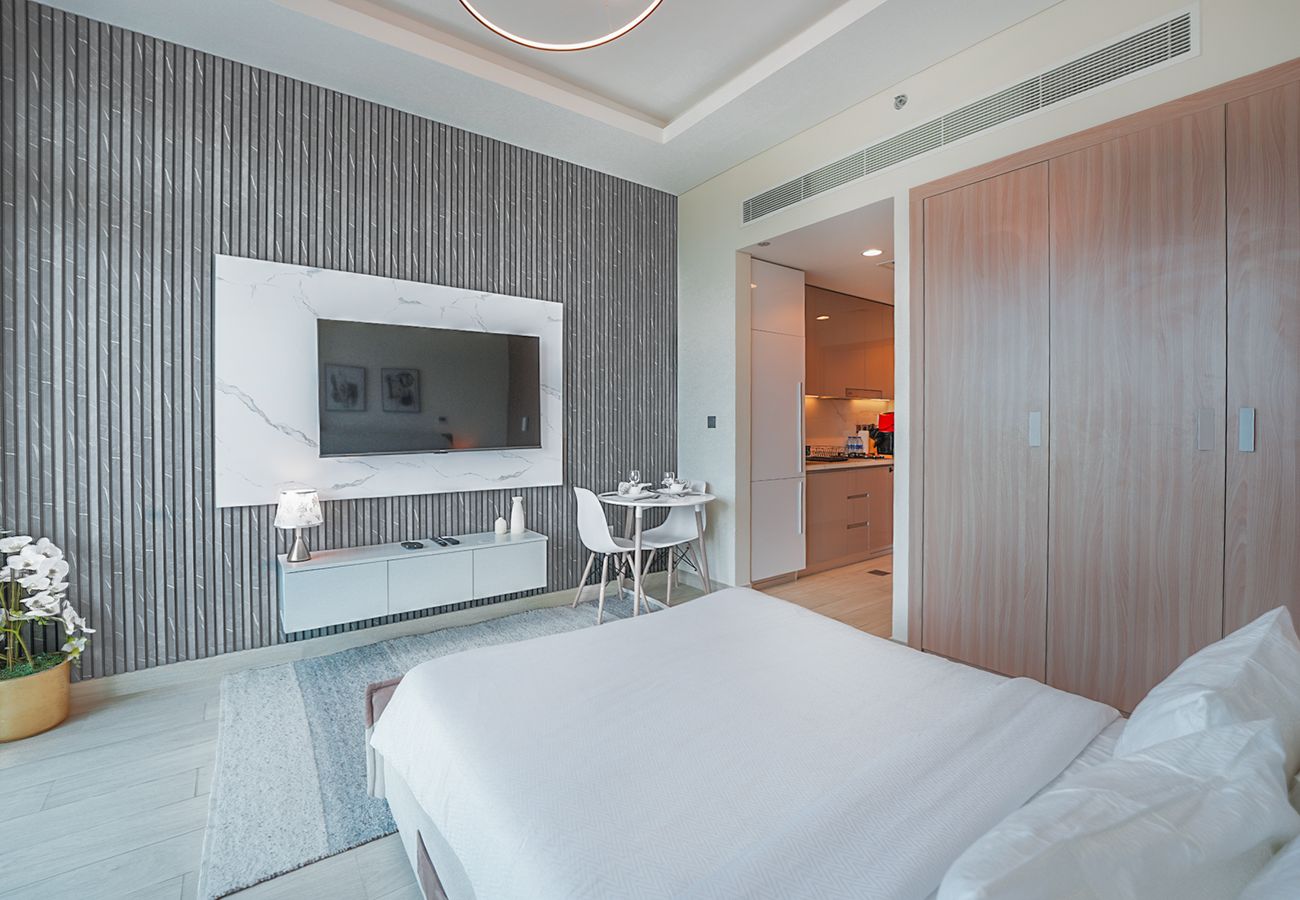Studio in Dubai - City center/spacious/skyline view
